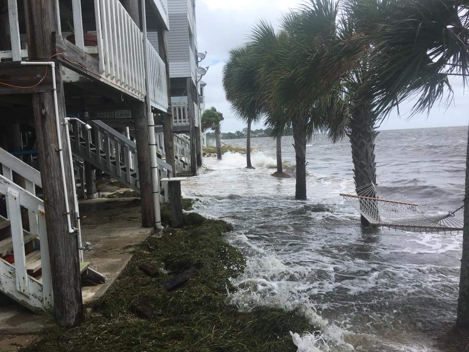 tempesta alberto USA
