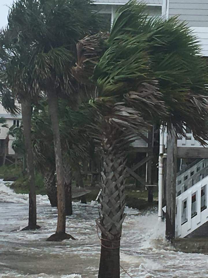 tempesta alberto USA