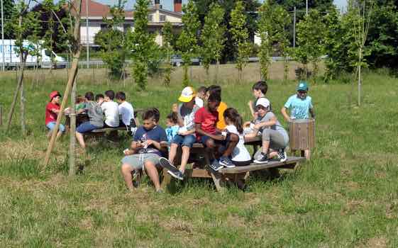 A58-TEEM giardino pensile