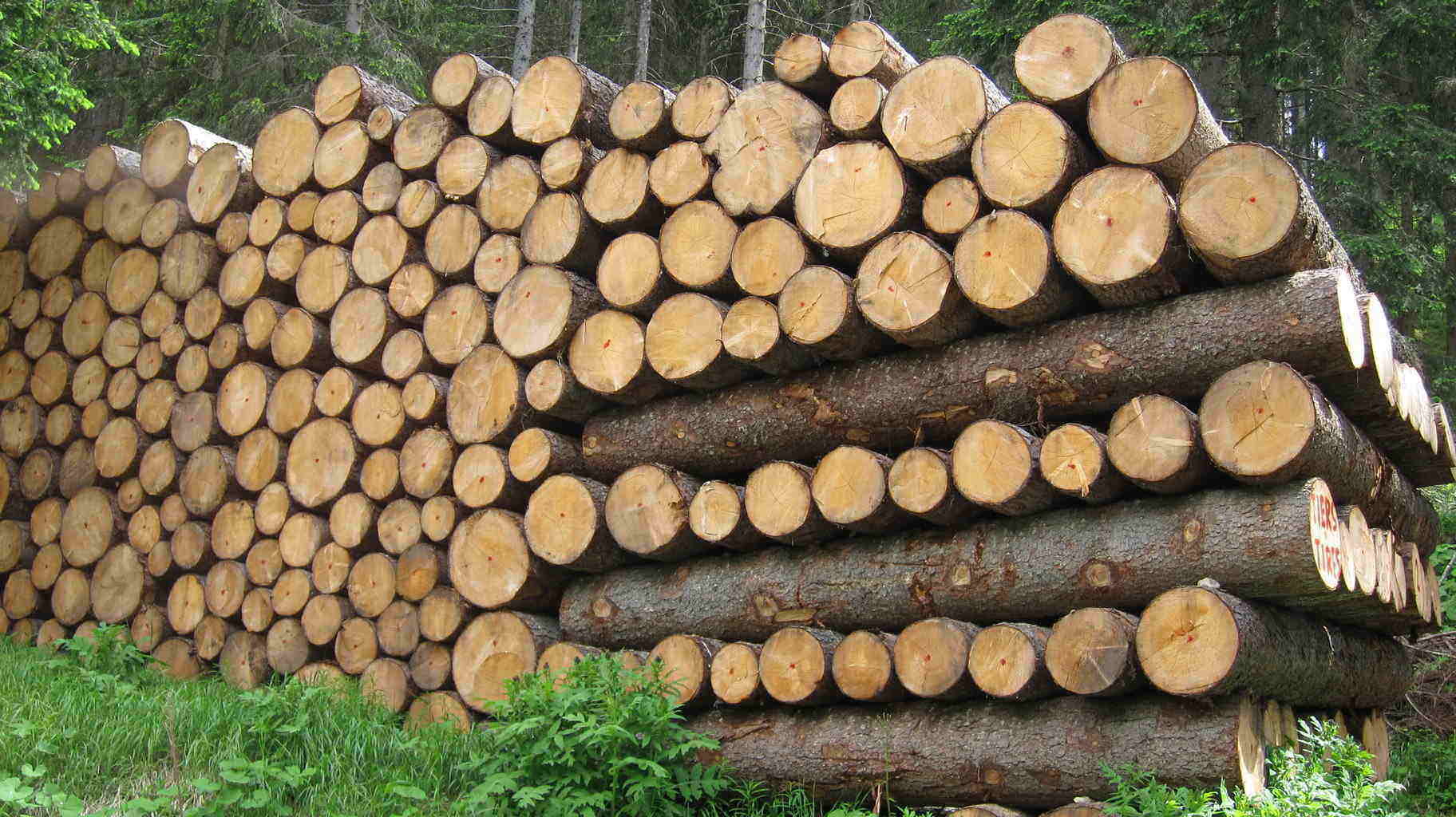 Commercio del legno