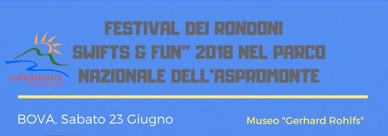 Festival dei Rondoni