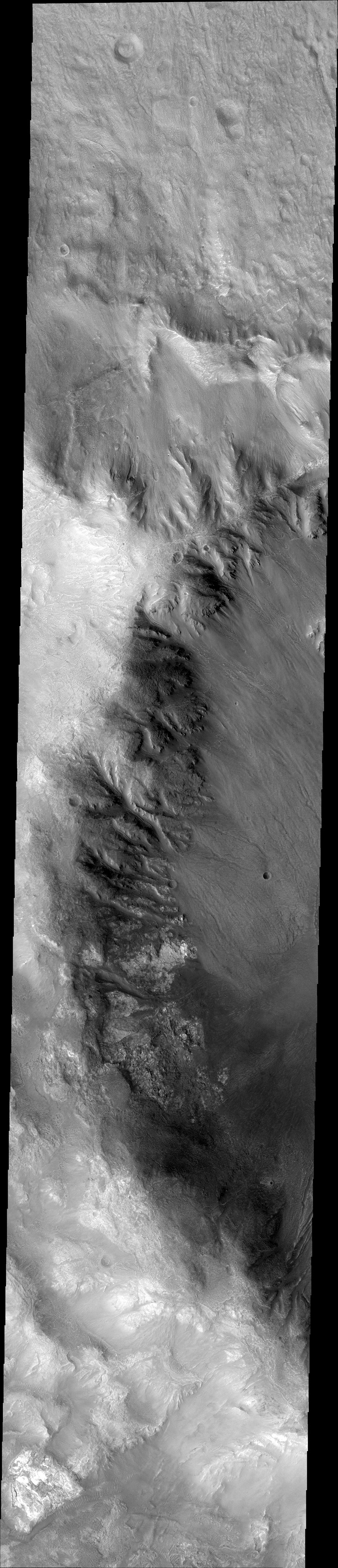 Marte cassis