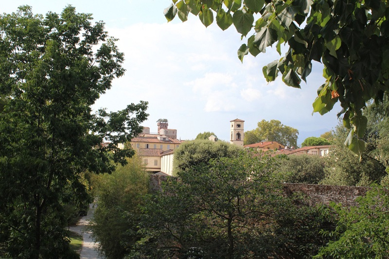 Toscana - Lucca