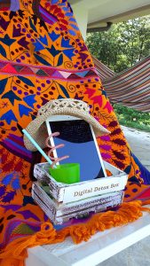 digital detox day