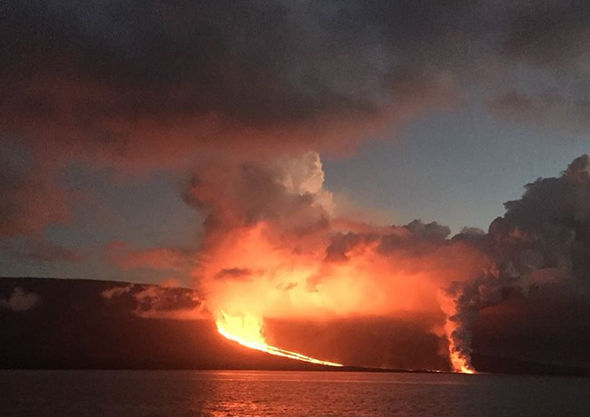 eruzione vulcano la cumbre galapagos