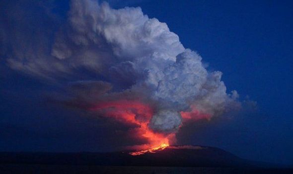 eruzione vulcano la cumbre galapagos