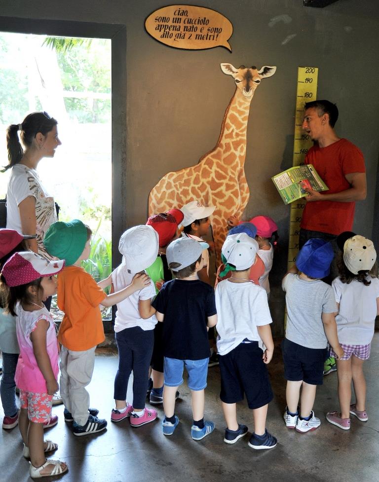 giraffa bioparco roma