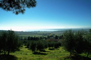 via del trasimeno