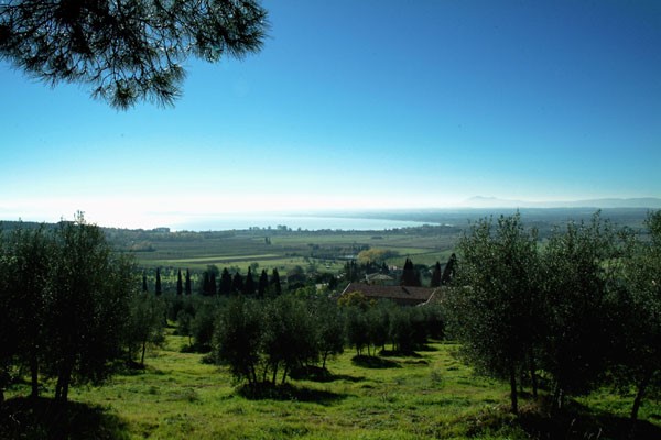 via del trasimeno