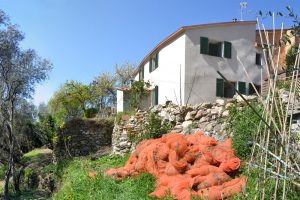 Casa G_Moneglia