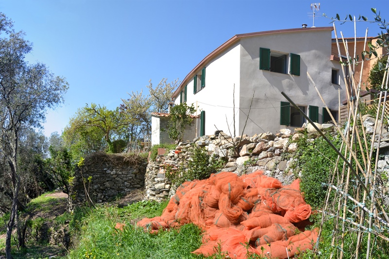 Casa G_Moneglia