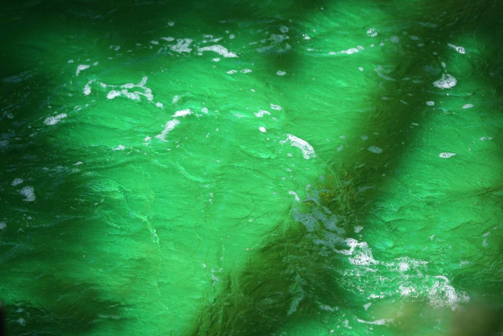 Lambro verde fluorescente