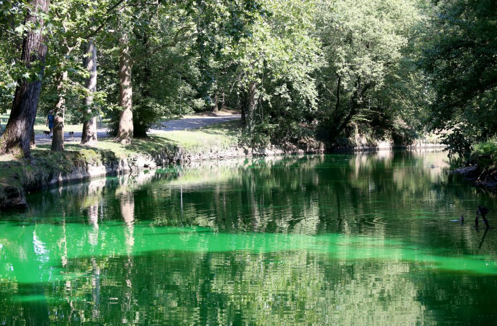 Lambro verde fluorescente