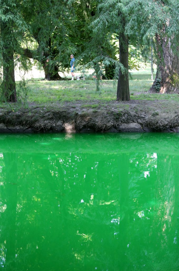 Lambro verde fluorescente