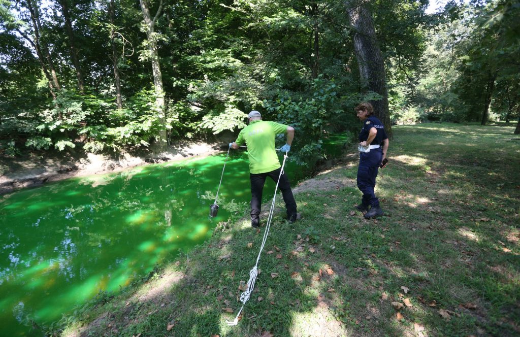 Lambro verde fluorescente