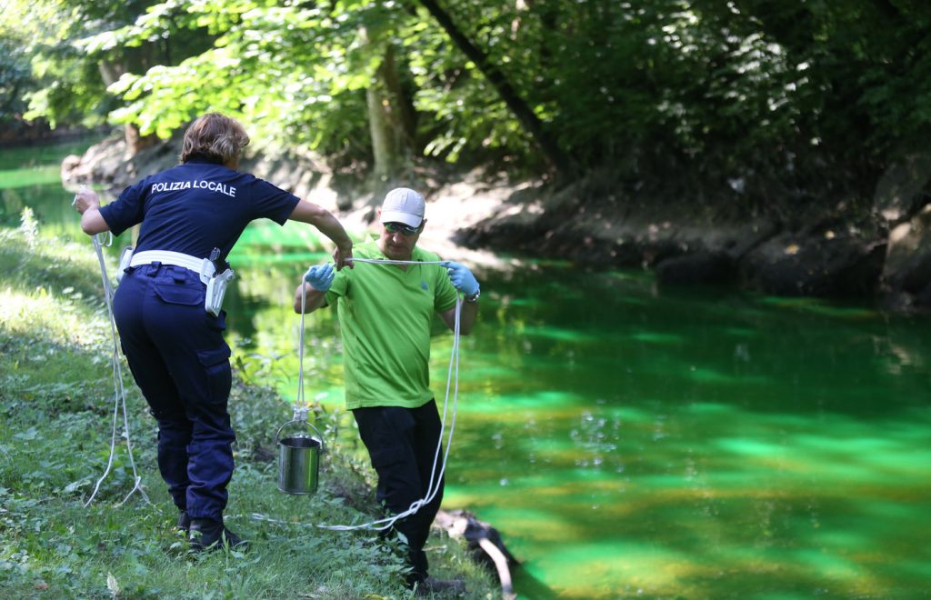 Lambro verde fluorescente
