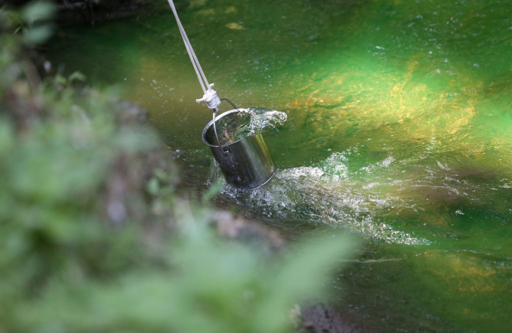 Lambro verde fluorescente