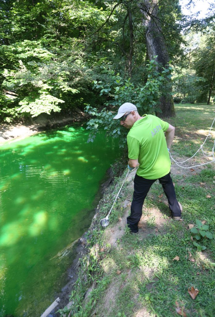 Lambro verde fluorescente