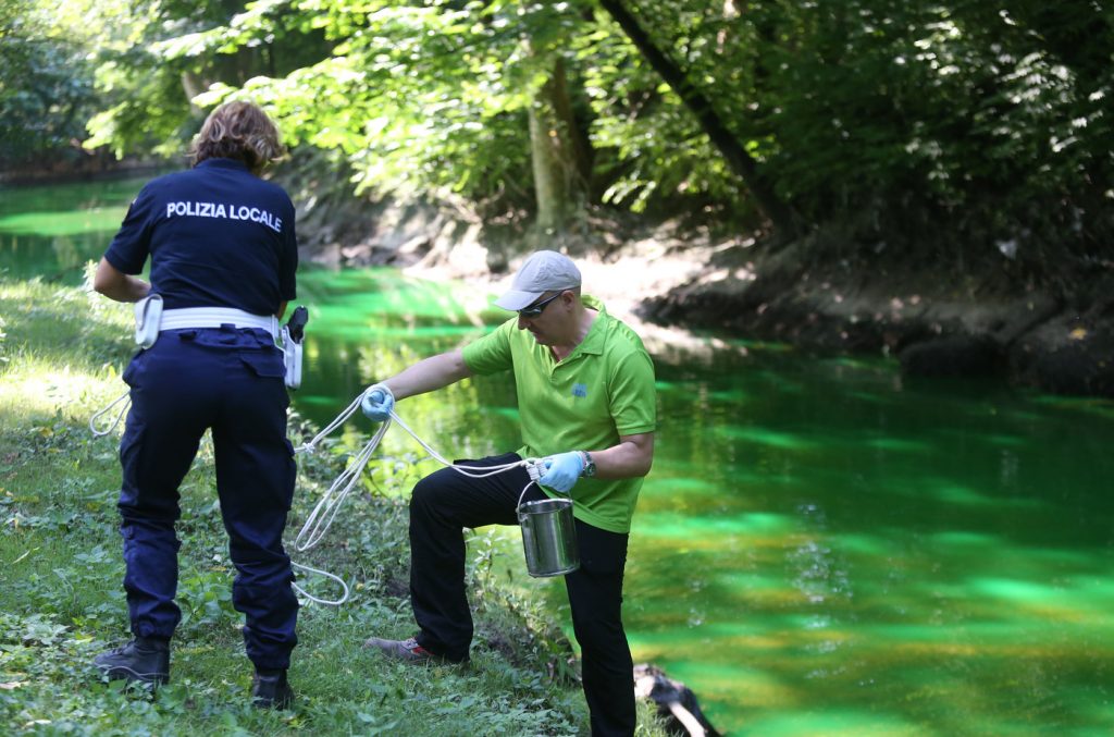 Lambro verde fluorescente