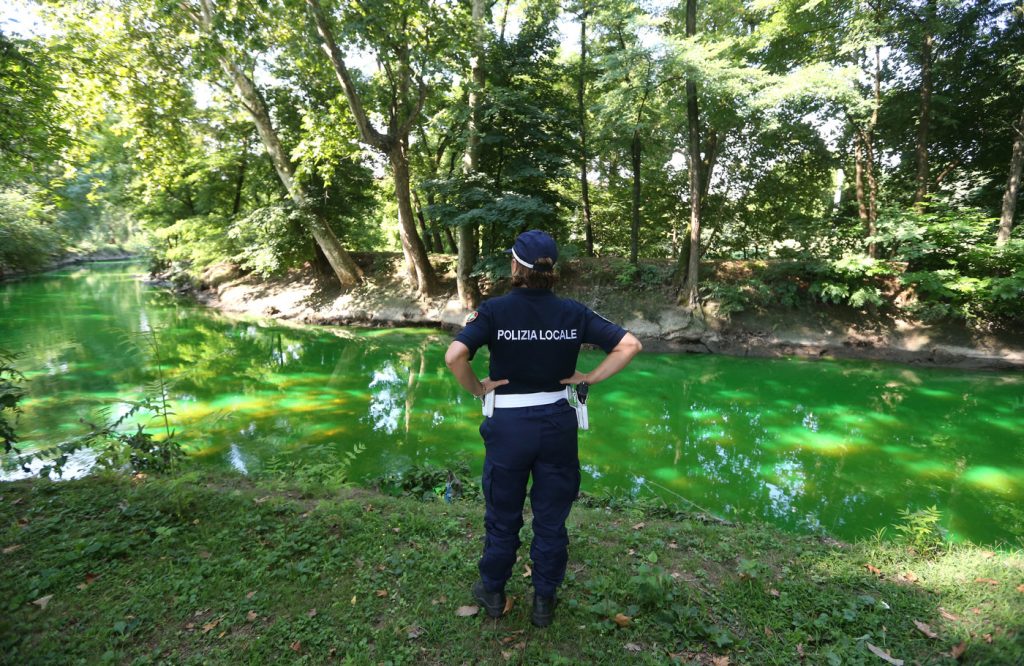 Lambro verde fluorescente