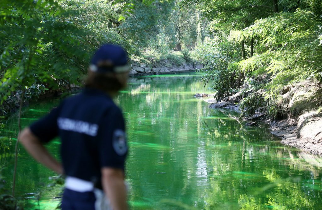 Lambro verde fluorescente