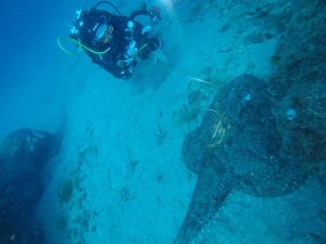 Punta Campanella rana pescatrice