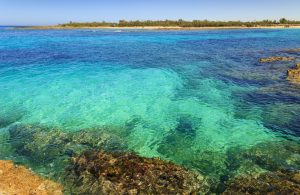 Riserva di Torre Guaceto - Salento