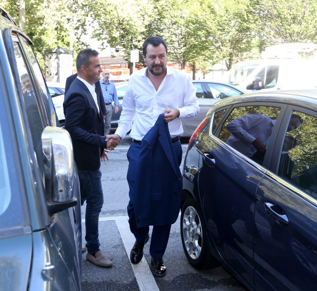 Salvini avis