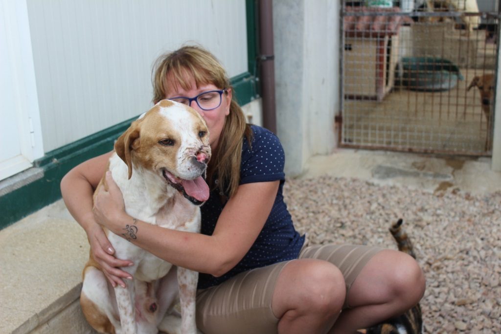 abbandoni Costa Smeralda