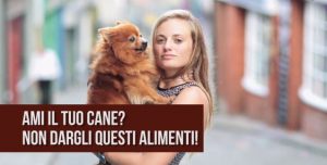 alimenti vietati cane