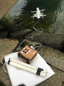 bambina USA inquinamento microplastiche