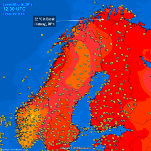 caldo scandinavia