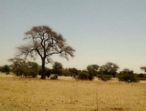 espansione sahara 