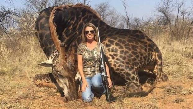 giraffa nera sudafrica