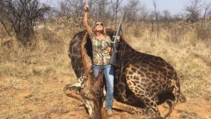 giraffa nera sudafrica