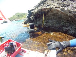 Ustica