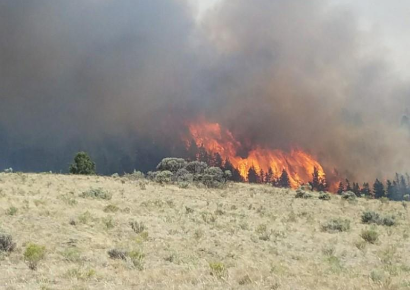 Incendi USA