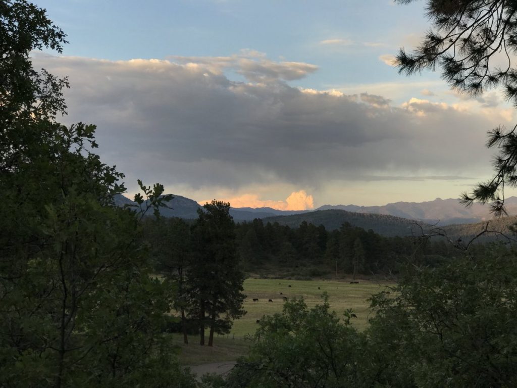 Incendi USA