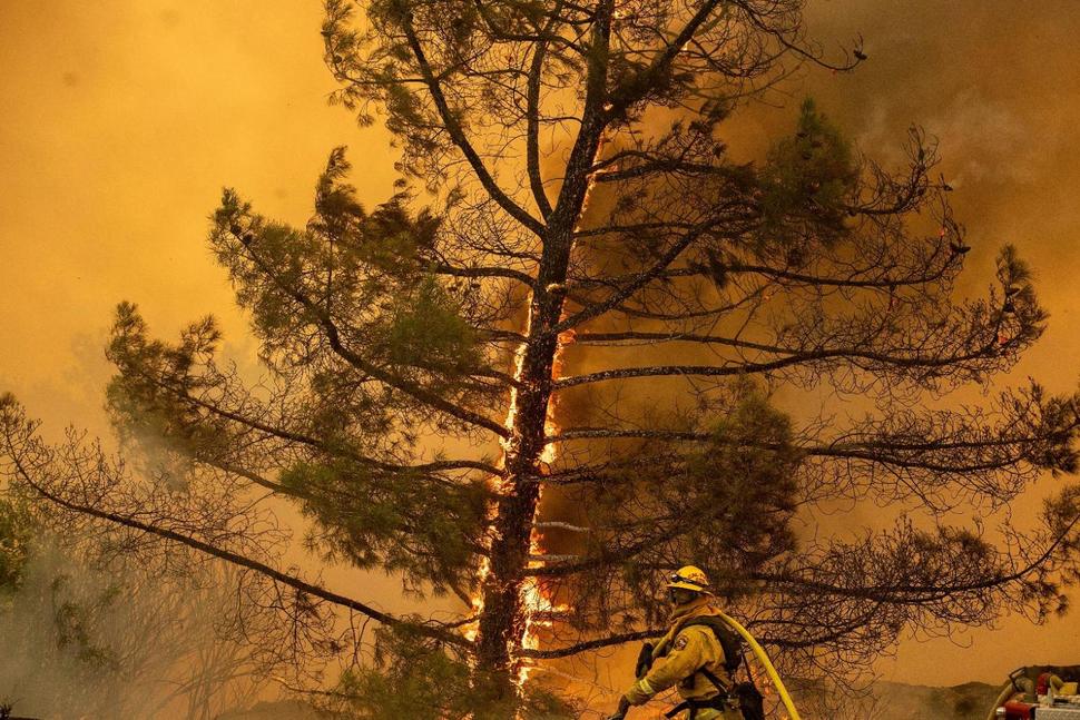 incendi USA California