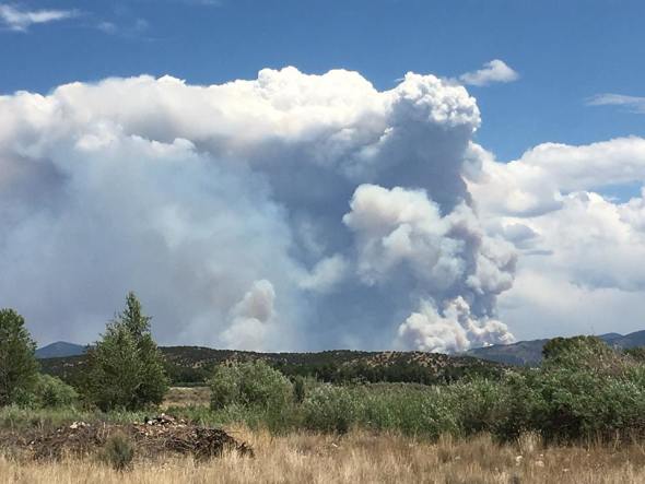 incendi USA Colorado