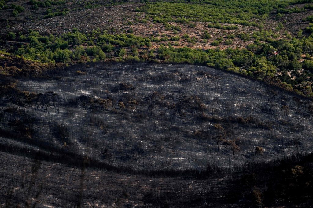 incendi grecia