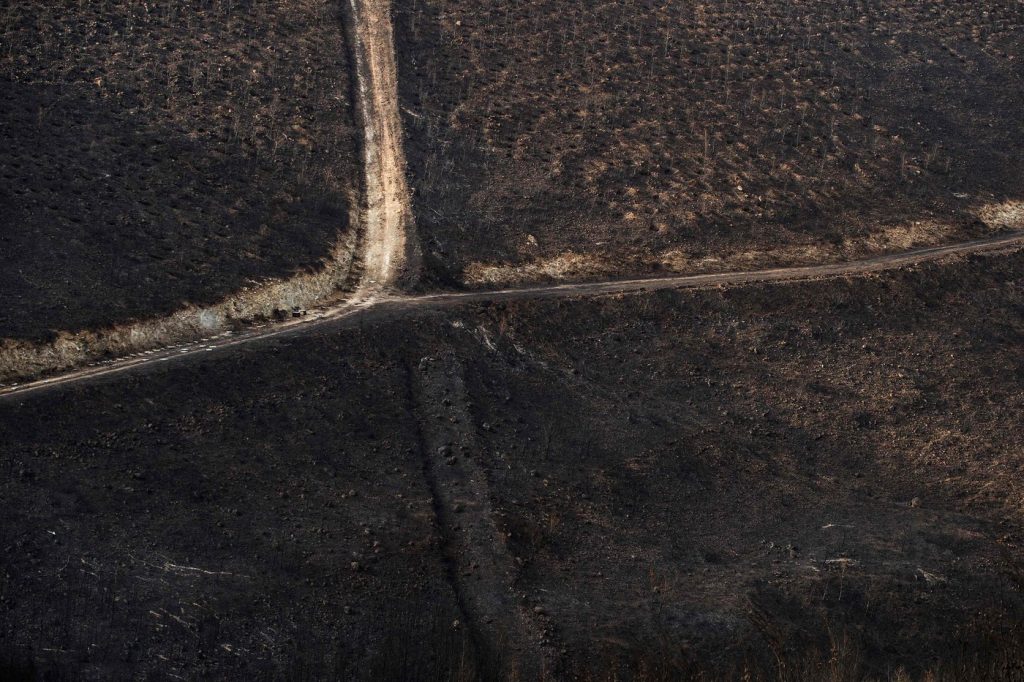 incendi grecia
