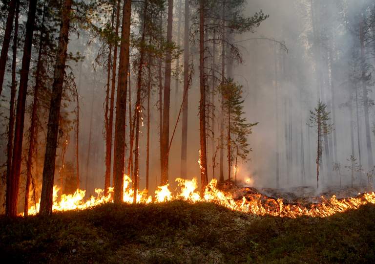 incendi svezia