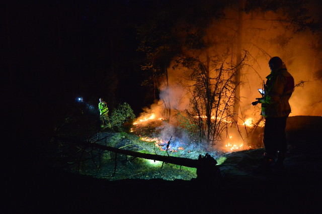 incendi svezia