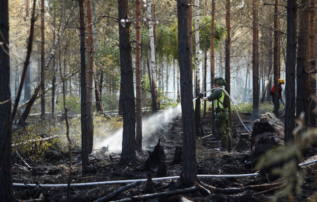 incendi svezia