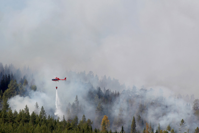 incendi svezia