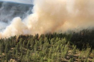 incendi svezia
