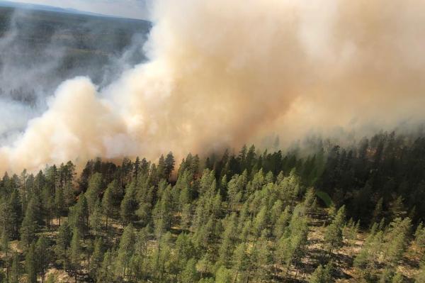 incendi svezia