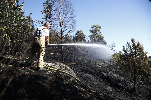 incendi svezia