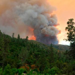 incendio california vicino yosemite national park